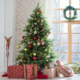 Category image: Christmas